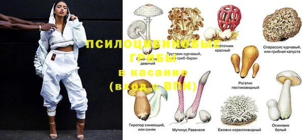 СК Алексеевка